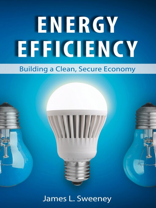 Title details for Energy Efficiency by James L. Sweeney - Available